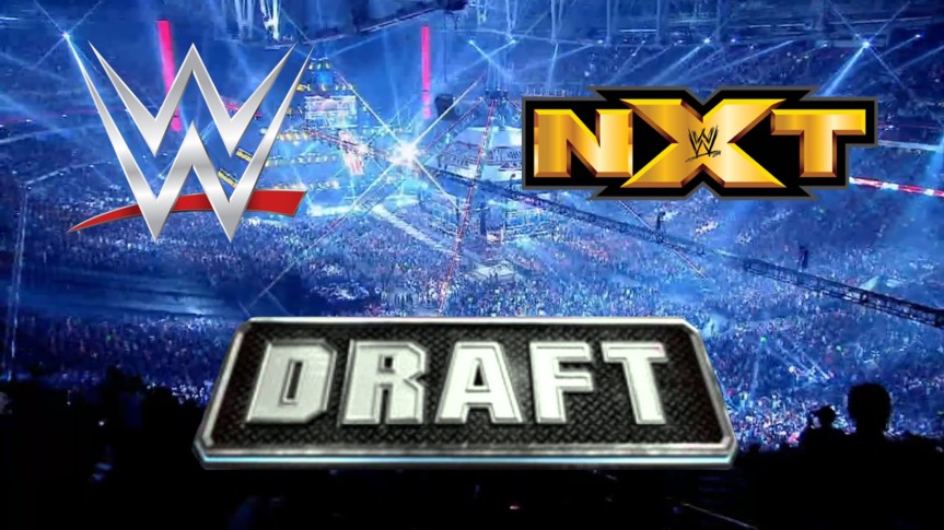 NXT’s Role in the WWE Draft